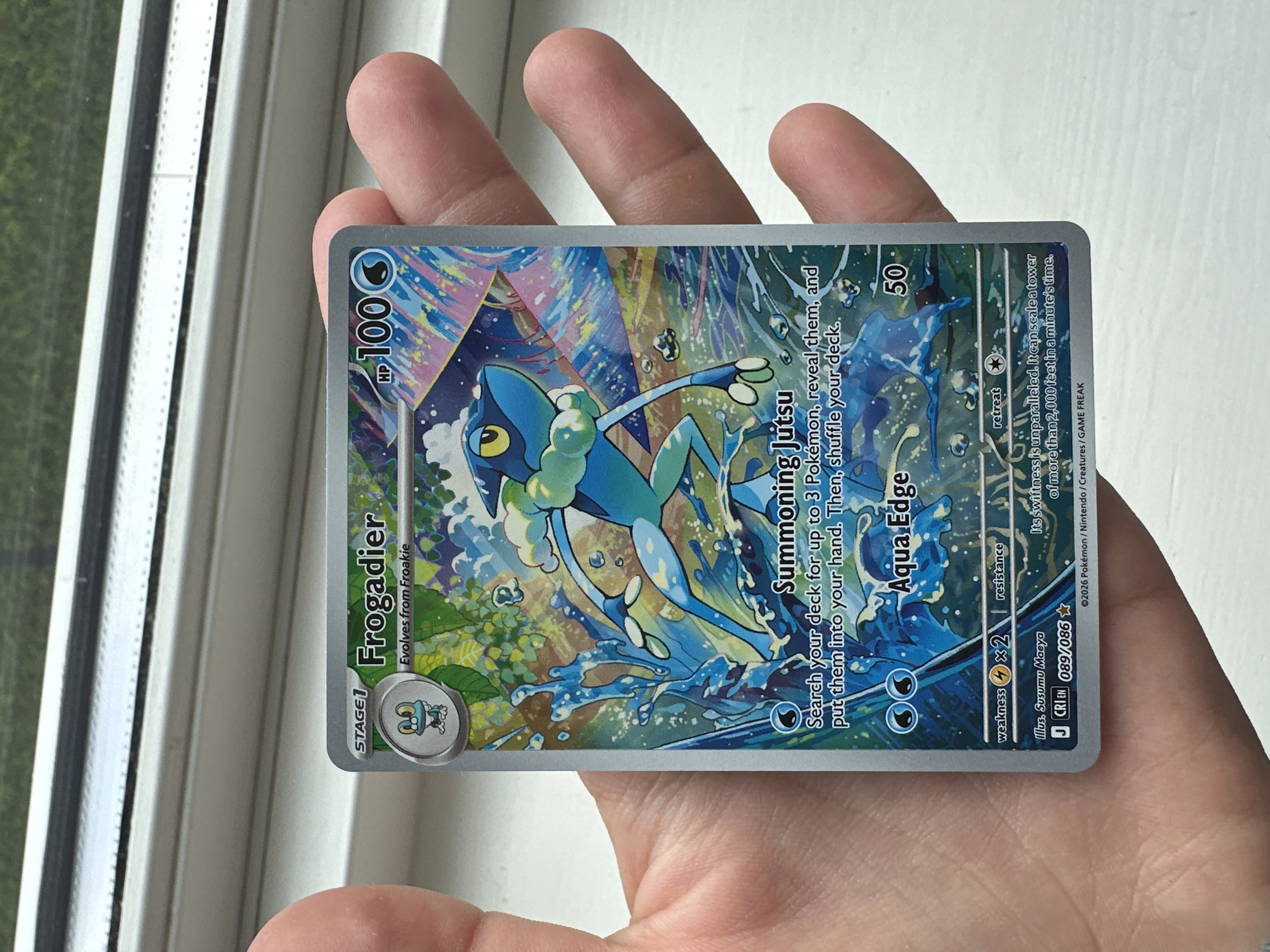 Frogadier — Seller photo