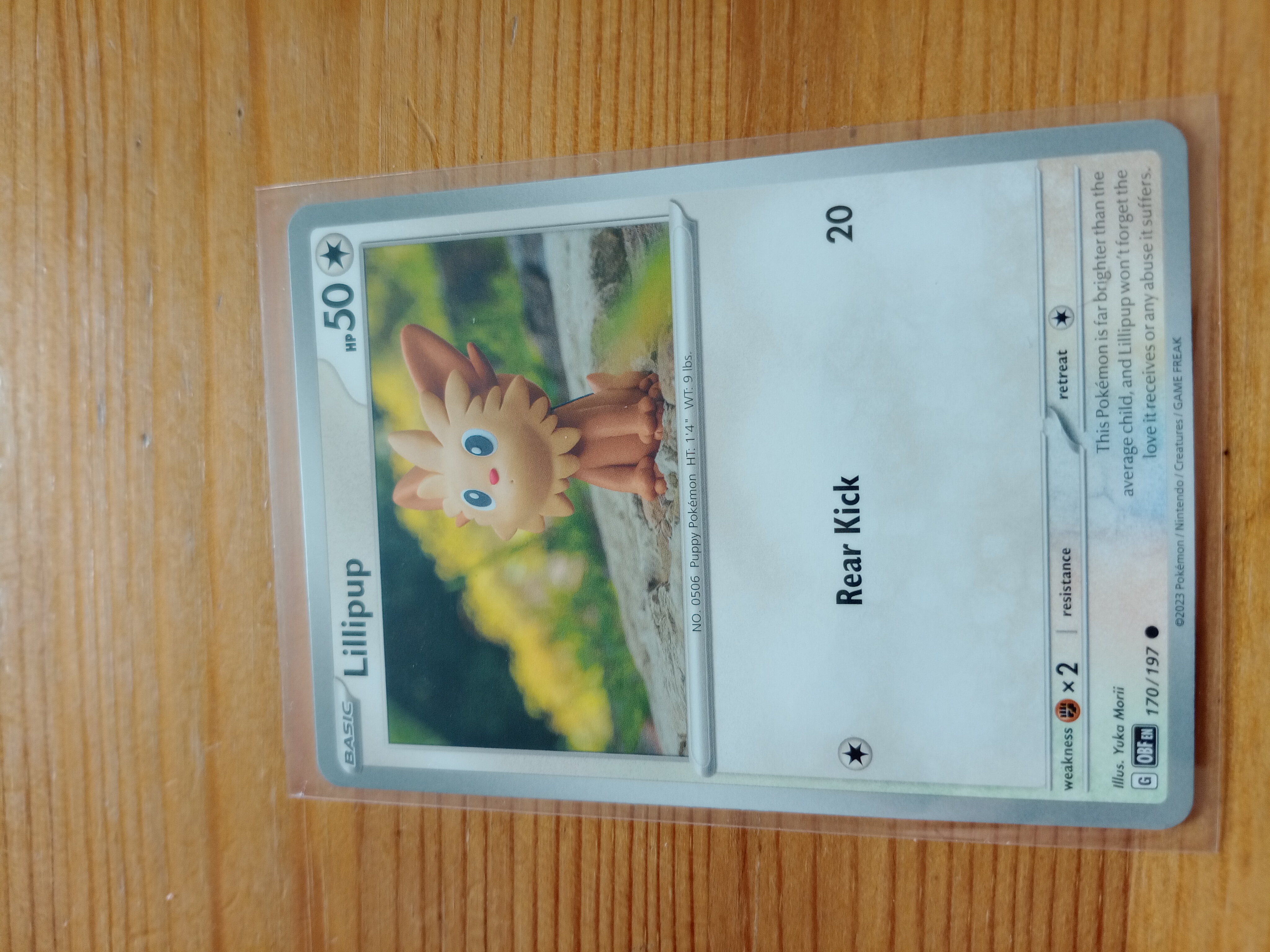 Lillipup — Seller photo