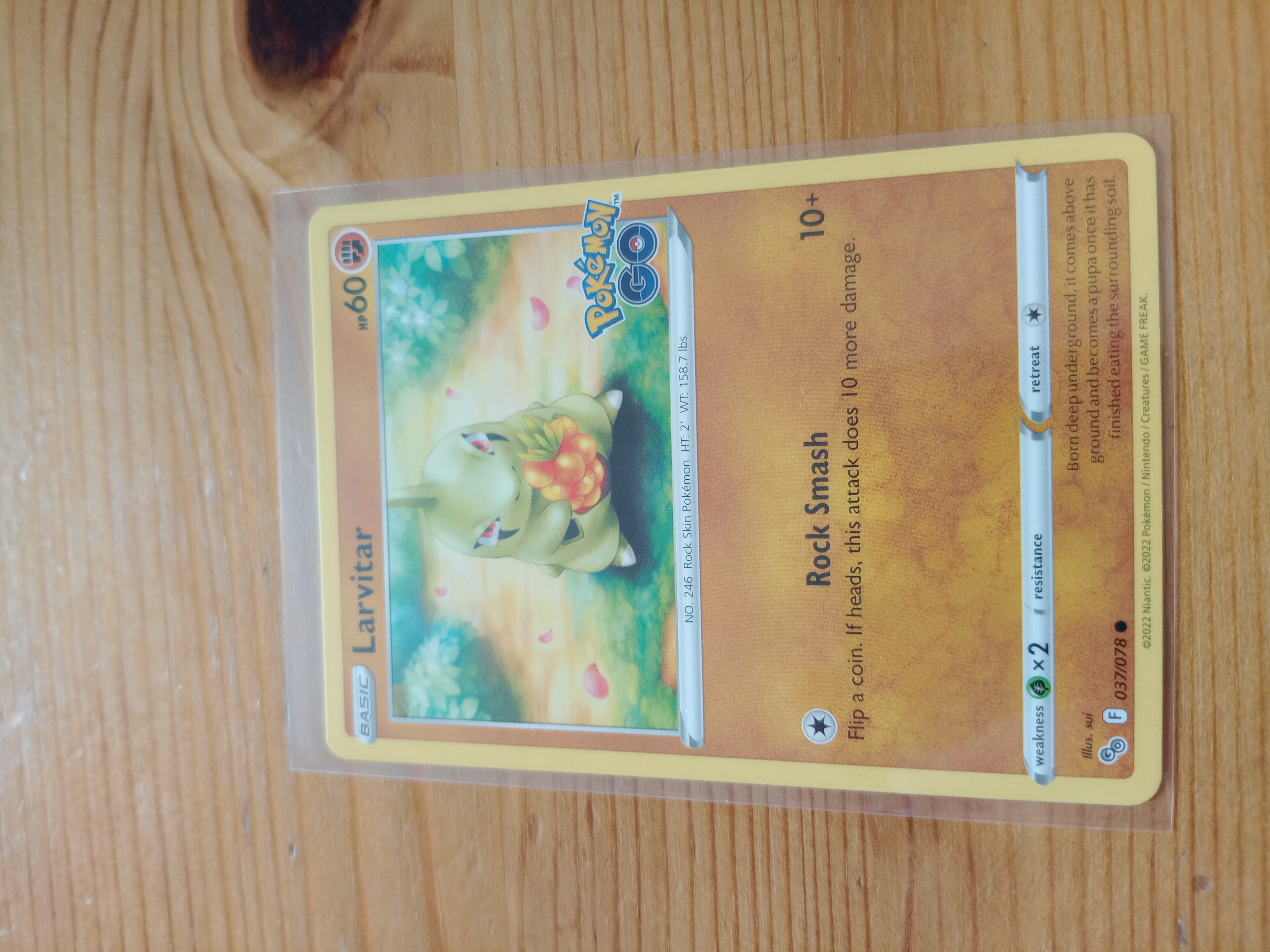 Larvitar — Seller photo