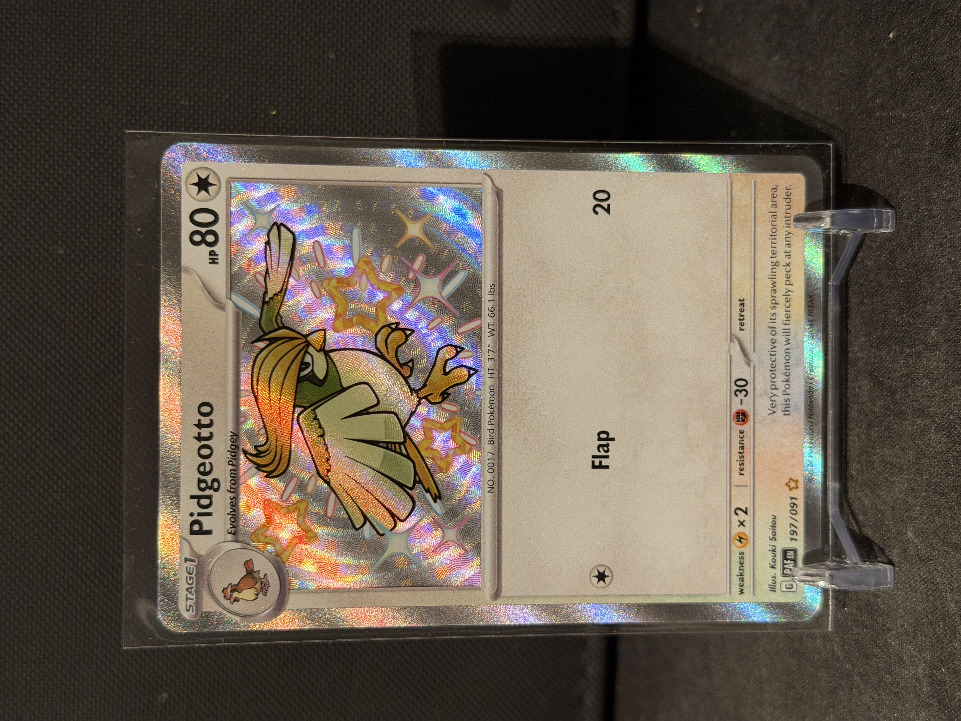 Pidgeotto — Seller photo