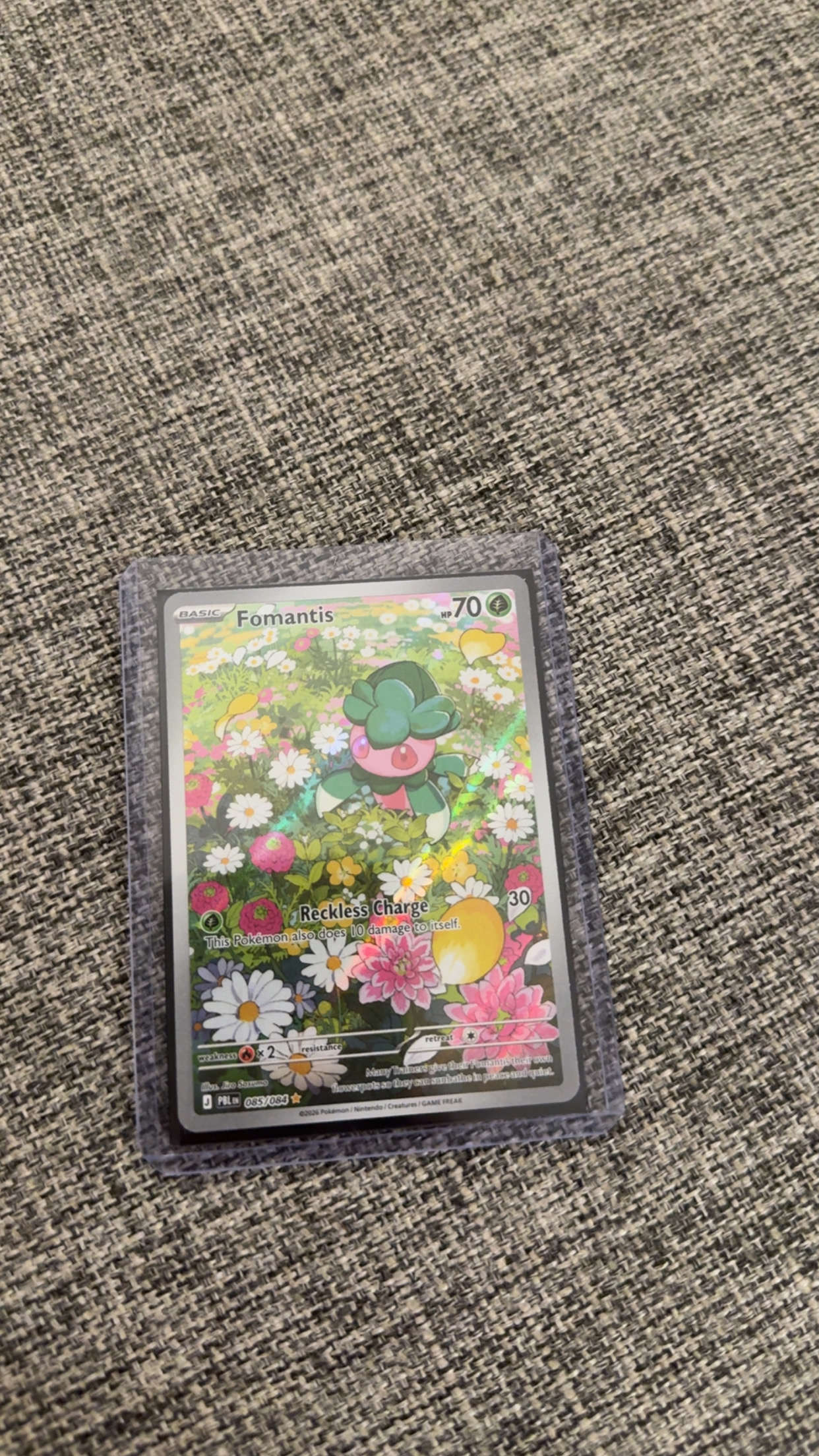 Fomantis — Seller photo